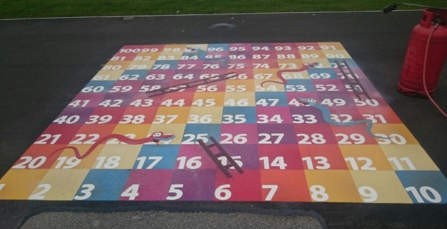 Snakes and Ladders in Aberffrwd